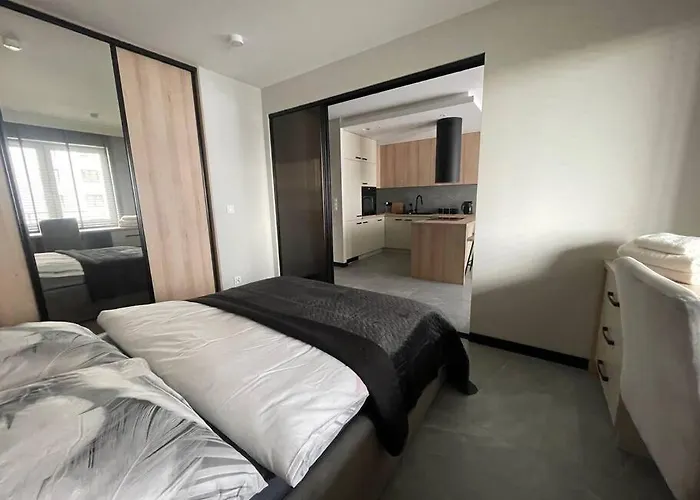 Vip Apartament Lubelska